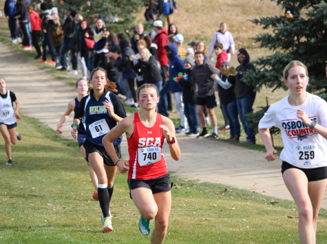 Cross Country Stock Photo