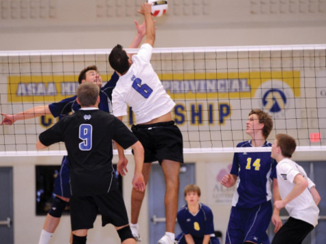 Volleyball Stock Photo