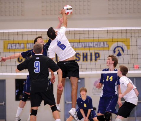 Volleyball Stock Photo
