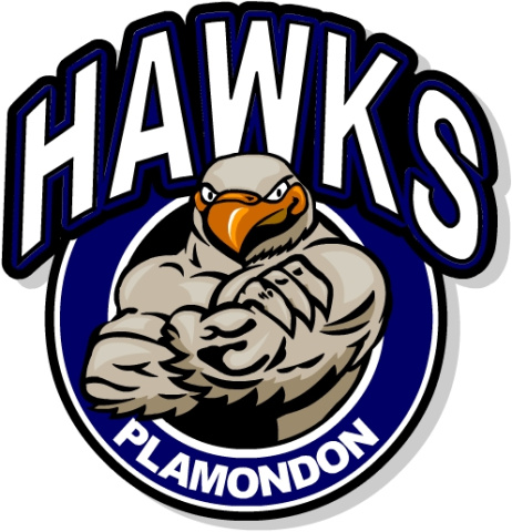 Hawks Logo