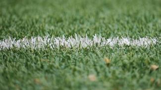 Closeup of a chalk line on a grass field