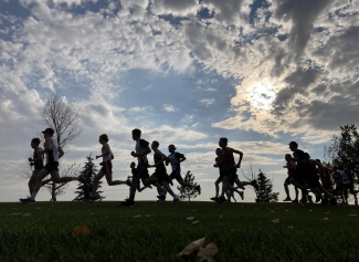 XC Background