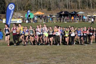 Large group of runners beginning a cross-country race in a field.