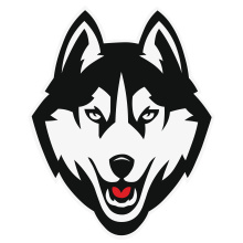 Logo for the Boyle School Huskies