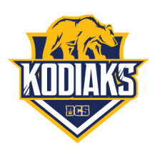 Kodiaks Bear in Gold and Navy Blue