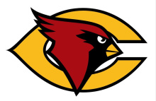 Cards Logo