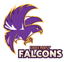 Foremost Falcons