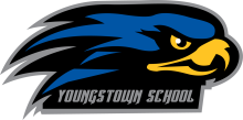 A logo of a blue and black falcon head with the heading "Youngstown School" underneath.