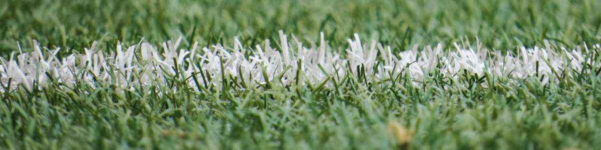 Closeup of a chalk line on a grass field