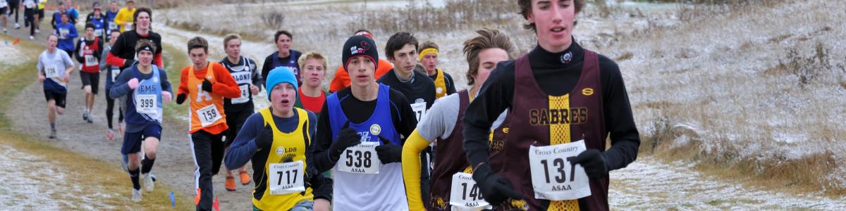 cross country banner