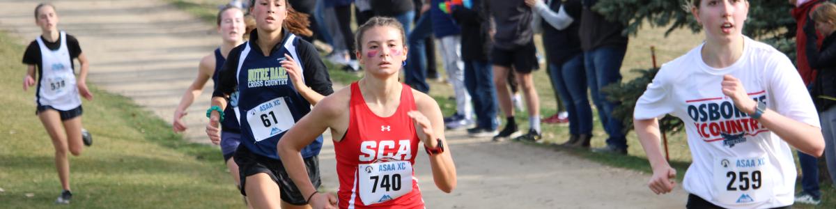Cross Country Stock Photo