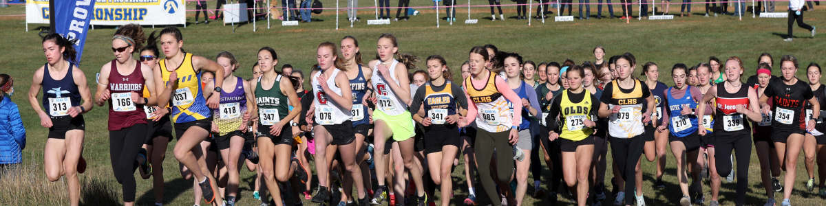 Large group of runners beginning a cross-country race in a field.