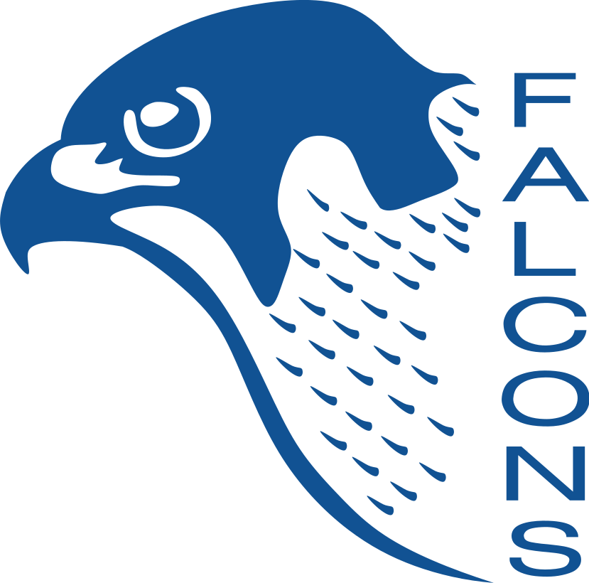 falcons png logo